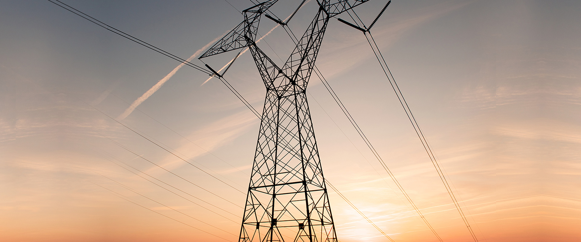 From Leaf to Lab - Complete Stevia Excellence